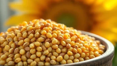 Ayçiçeği çekirdeği E vitamini deposu, cilt sağlığına faydaları.