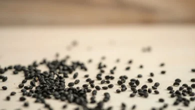 Çörek otu tohumunun bağışıklık sistemine faydaları