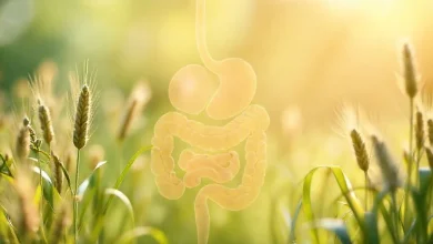 Keten tohumu yağı sindirim sistemi faydaları