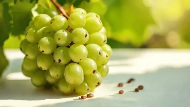 Üzüm çekirdeği faydaları: Cilt ve kalp sağlığına etkileri