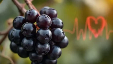 Üzüm çekirdeği faydaları: Kalp ve damar sağlığına katkıları